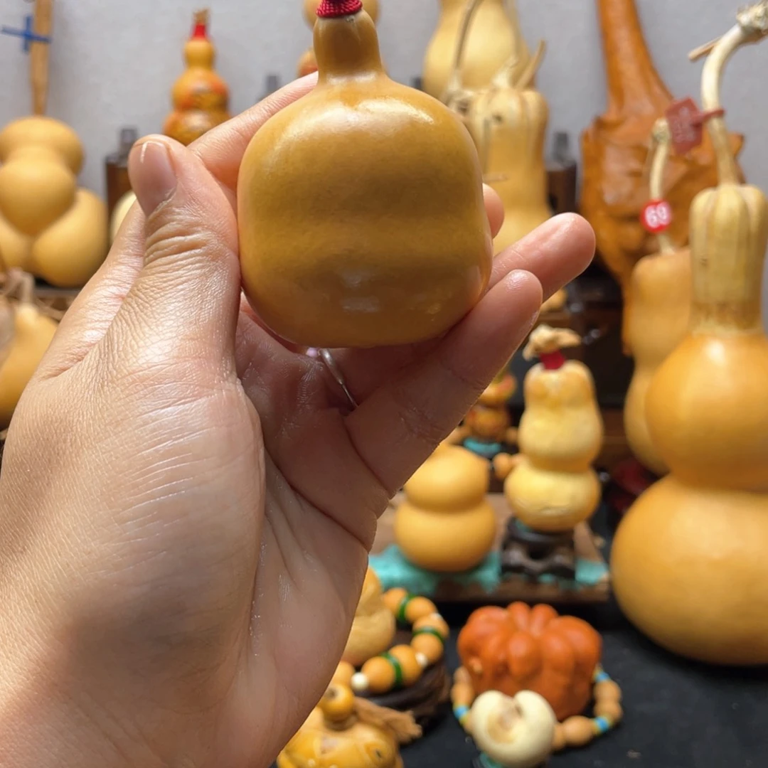 安**阳大自然的秘密第十一节的秘密第二