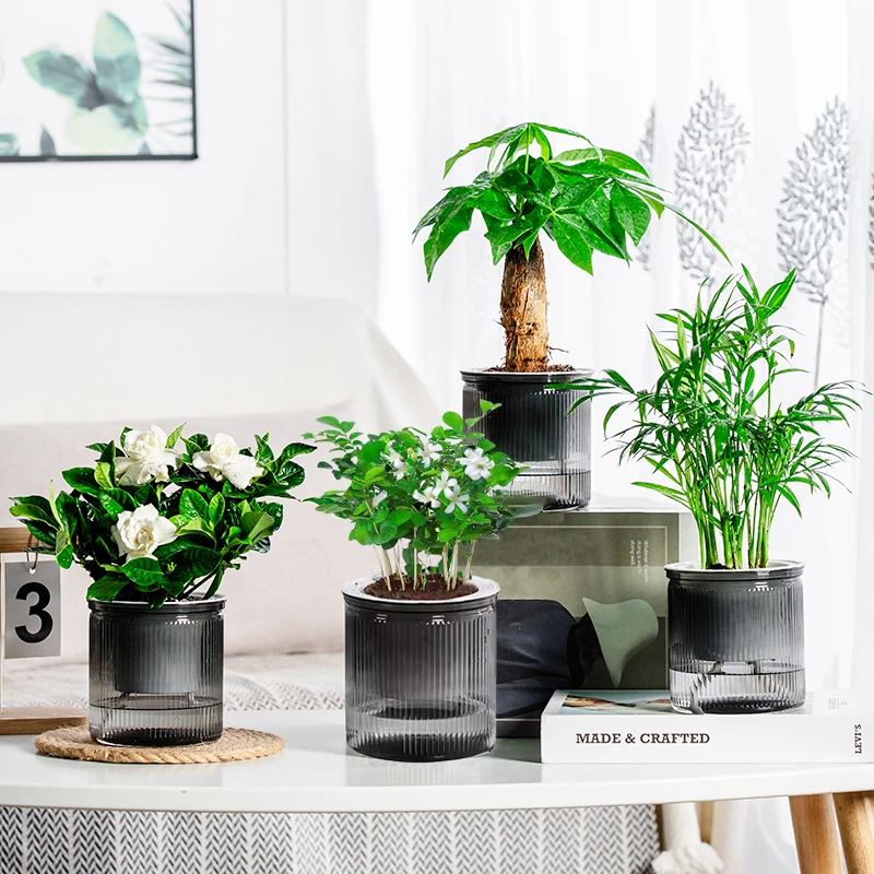 【花伴水】绿植四件套家居净化空气发财树袖珍椰子栀子花九里香