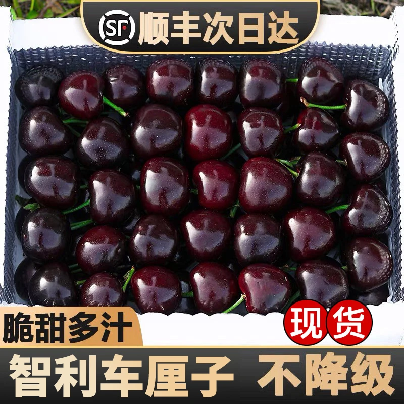 智利空运车厘子礼盒装 桑提娜3JD级粉丝升级吉致发货当季新鲜水果 净果800gWZ（内附果径卡）桑提娜智利共和国