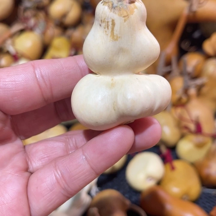 富***艺葫葫芦哈哈哈哈哈哈哈哈就