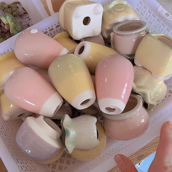 红陶随机6个瑕疵