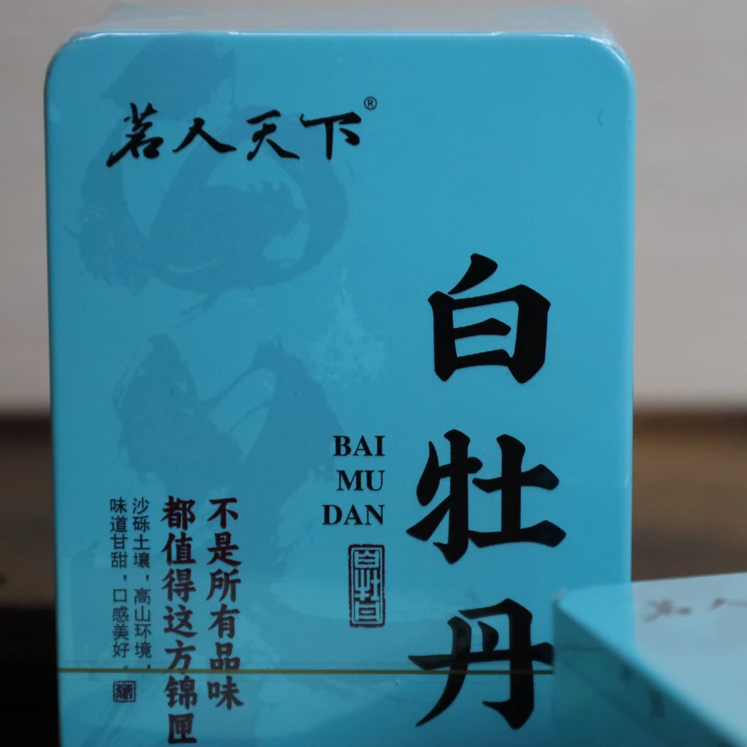 茗人天下户外出差旅行车上茶生活必备装备茶叶白茶小方片