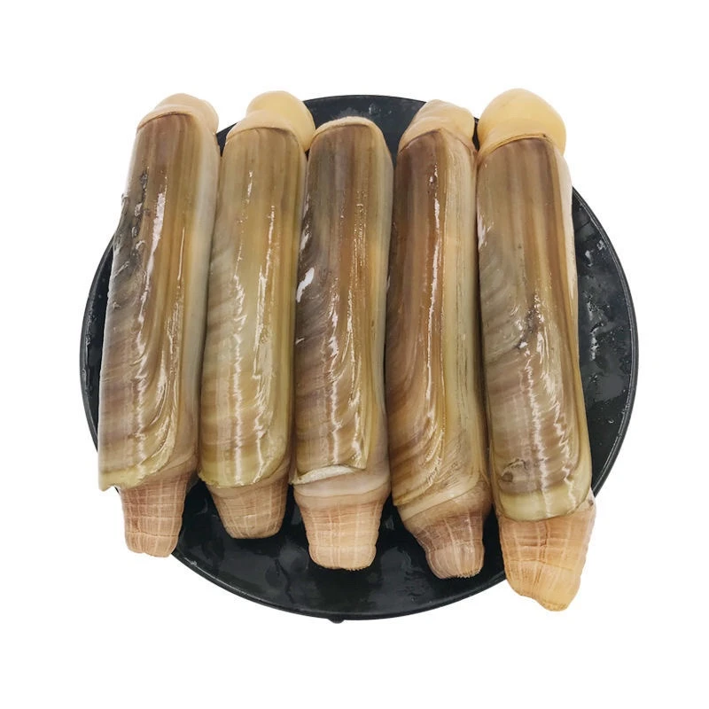 顺丰冷链 竹蛏 海鲜厦门发货