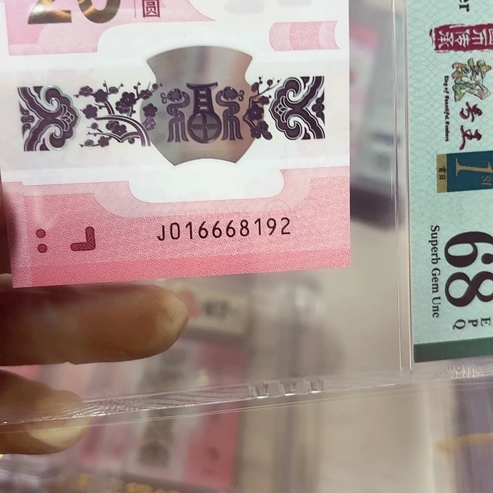 塑料016668192你是我的荣耀打