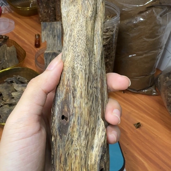 平***福扇子奇楠沉香虫漏料子