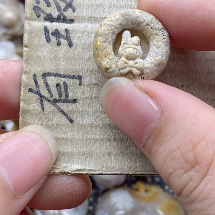 颈饰未镶嵌硅化珊瑚（珊瑚玉）8**帝小