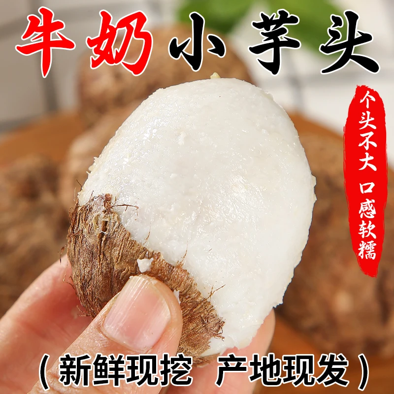 云南新鲜自种牛奶小芋头毛芋头软糯香甜香芋皮薄当季蔬菜芋艿整箱