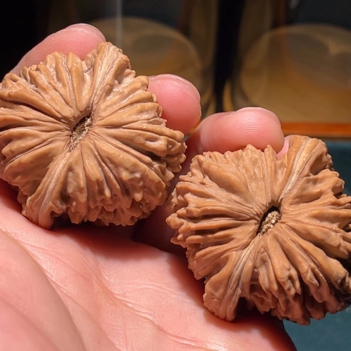 文玩核桃把件这****满42楼子毕业对