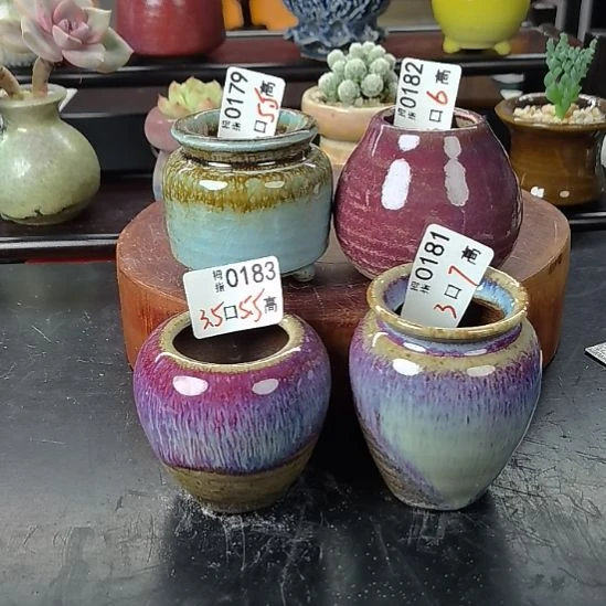 多肉拇指花盆编号