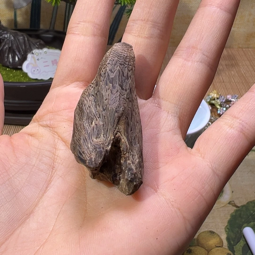 【闪购商品】香榧木深*海南木料大山金丝白奇7.8克福利