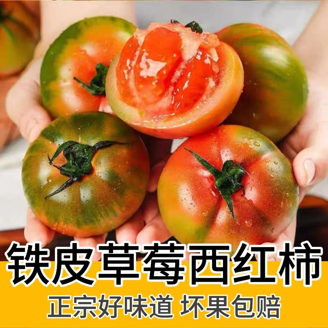 【皮厨大叔】新鲜现摘现发草莓柿子酸甜多汁