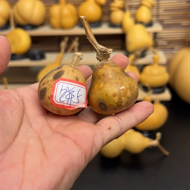 饼**了5580996.6666888889