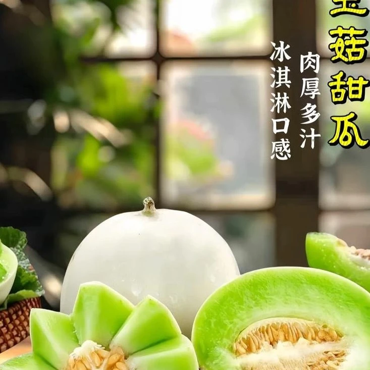 【佳悦甄选】冰淇淋玉菇甜瓜2斤-4.5斤新鲜现摘软糯香甜,可口多汁【顺丰包邮今天拍明天到】
