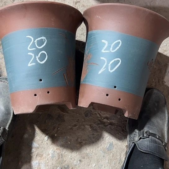 紫砂工艺厂……紫砂工艺厂、紫砂