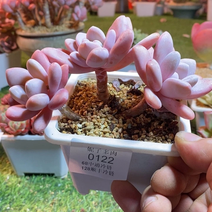 0122啊啊啊啊啊啊啊啊啊啊