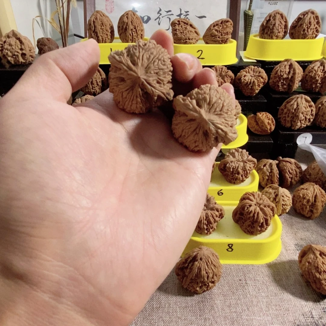木质类矮桩小团子