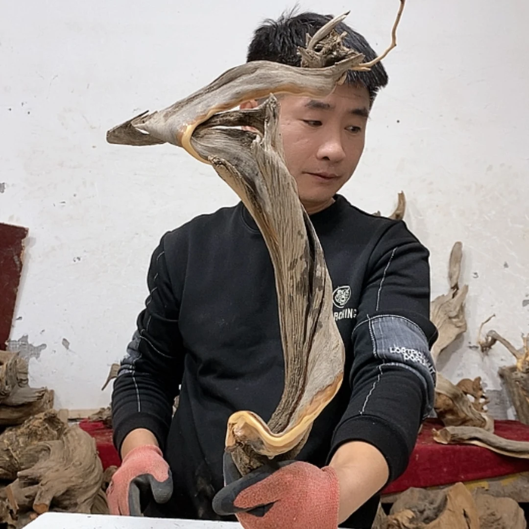 【闪购商品】柏木努****。我们都是好孩子