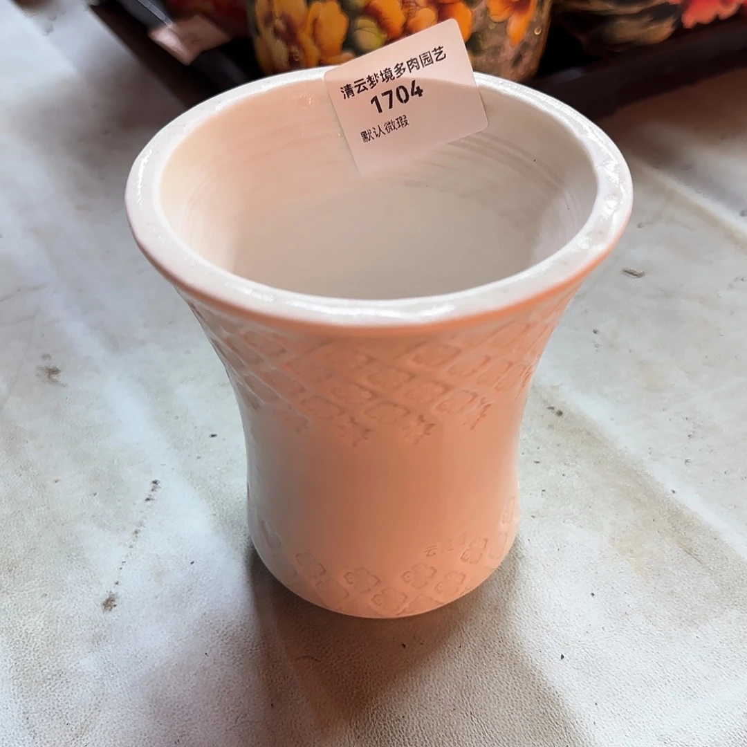 【闪购商品】孙*萌1704