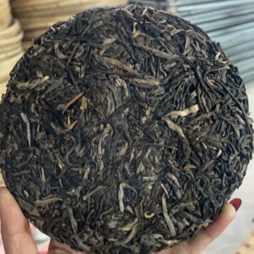 2025年云南松山古树单株生茶饼200克