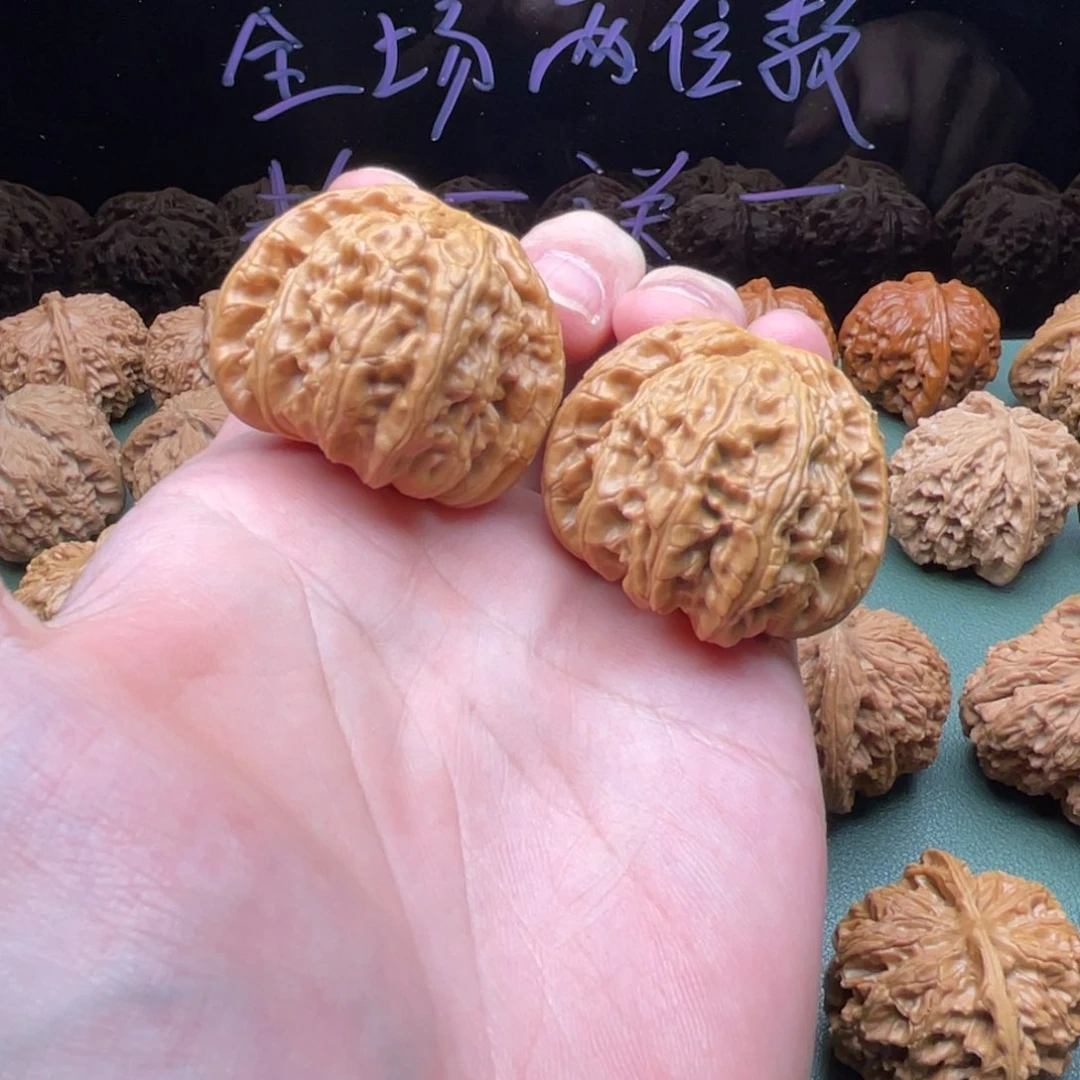 核桃把件40球白狮子，已经打底