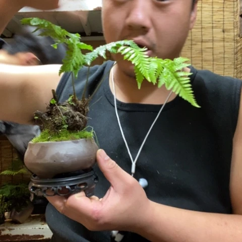 红陶心***水一物一拍所见即所得79