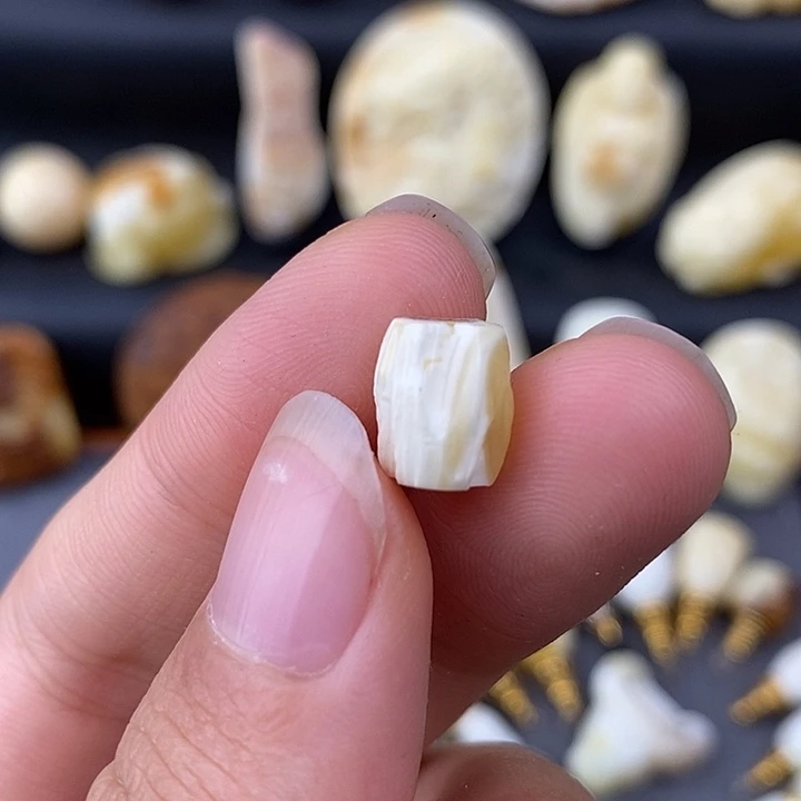 琥珀未镶嵌裸石8瓷白百香微瑕b365