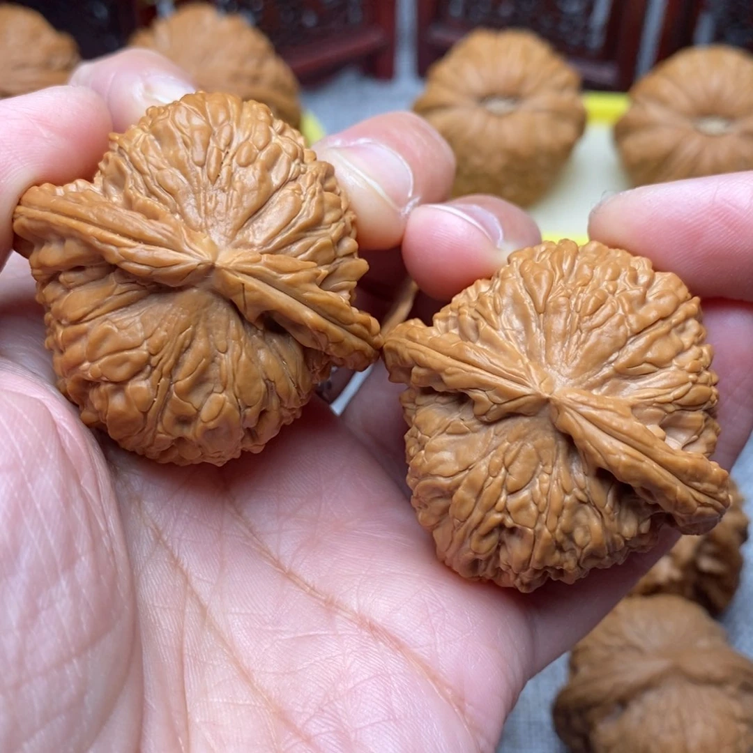 文玩核桃把件全品毕业绝配白狮子43尺