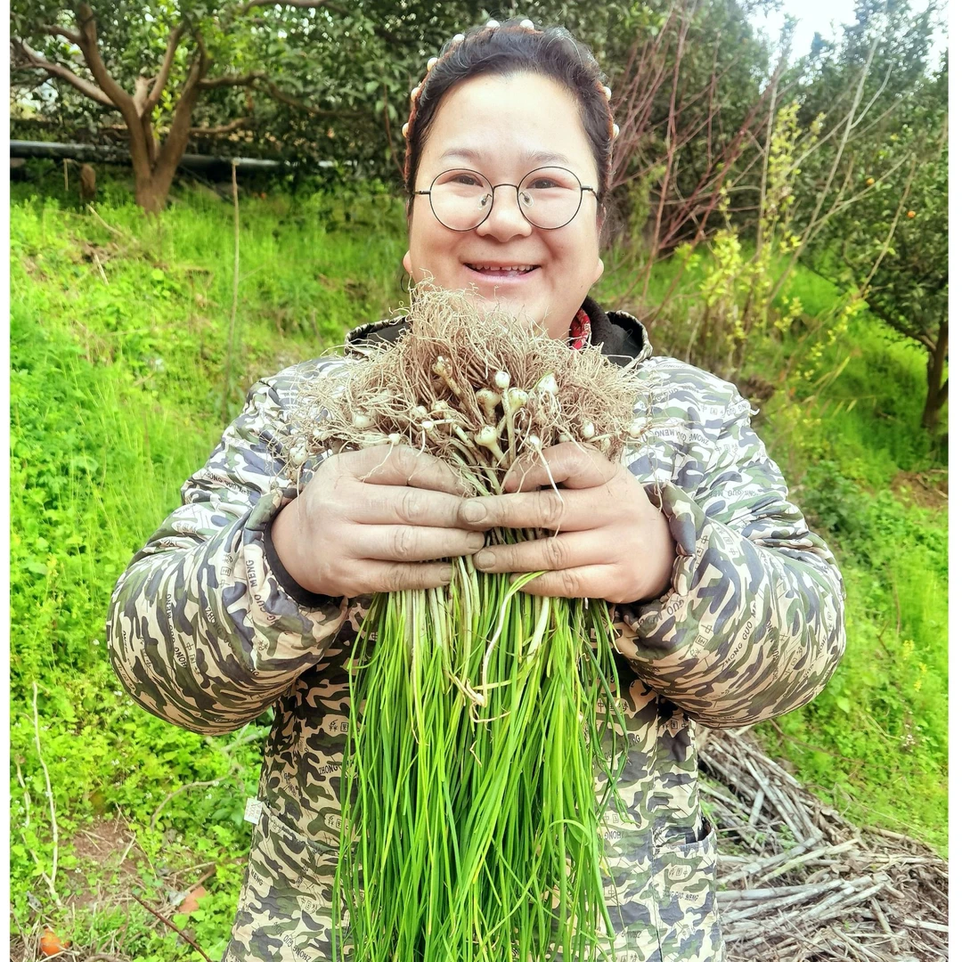 重庆涪陵乡村田间地里现挖新鲜小香葱