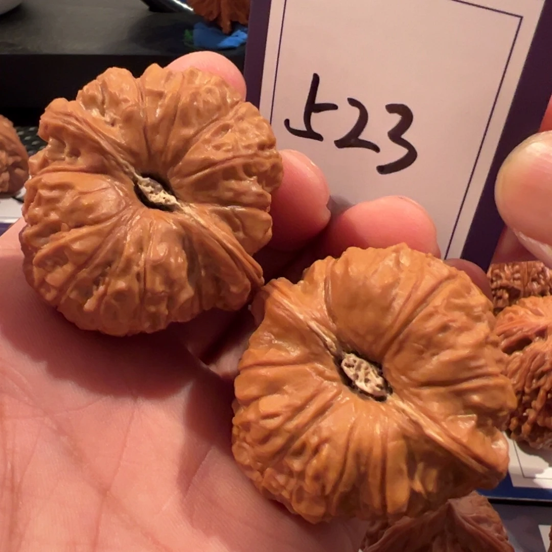 文玩核桃把件全品南瓜墩43.5尺寸523号