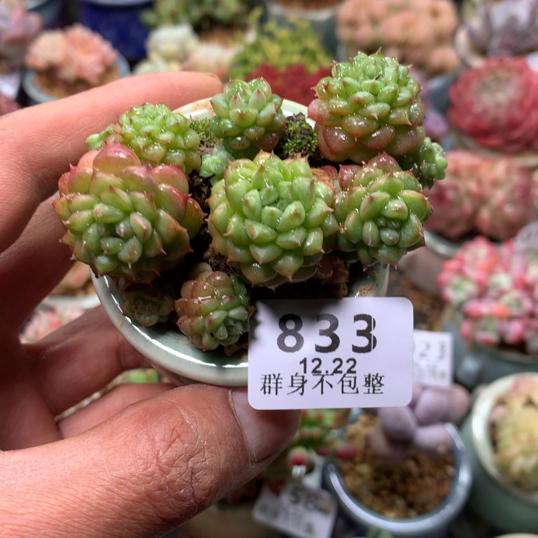 精控拇指盆12.22833