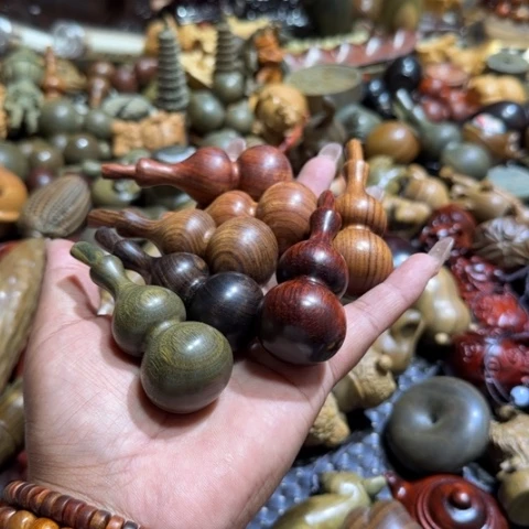 维腊木（绿檀）执***生