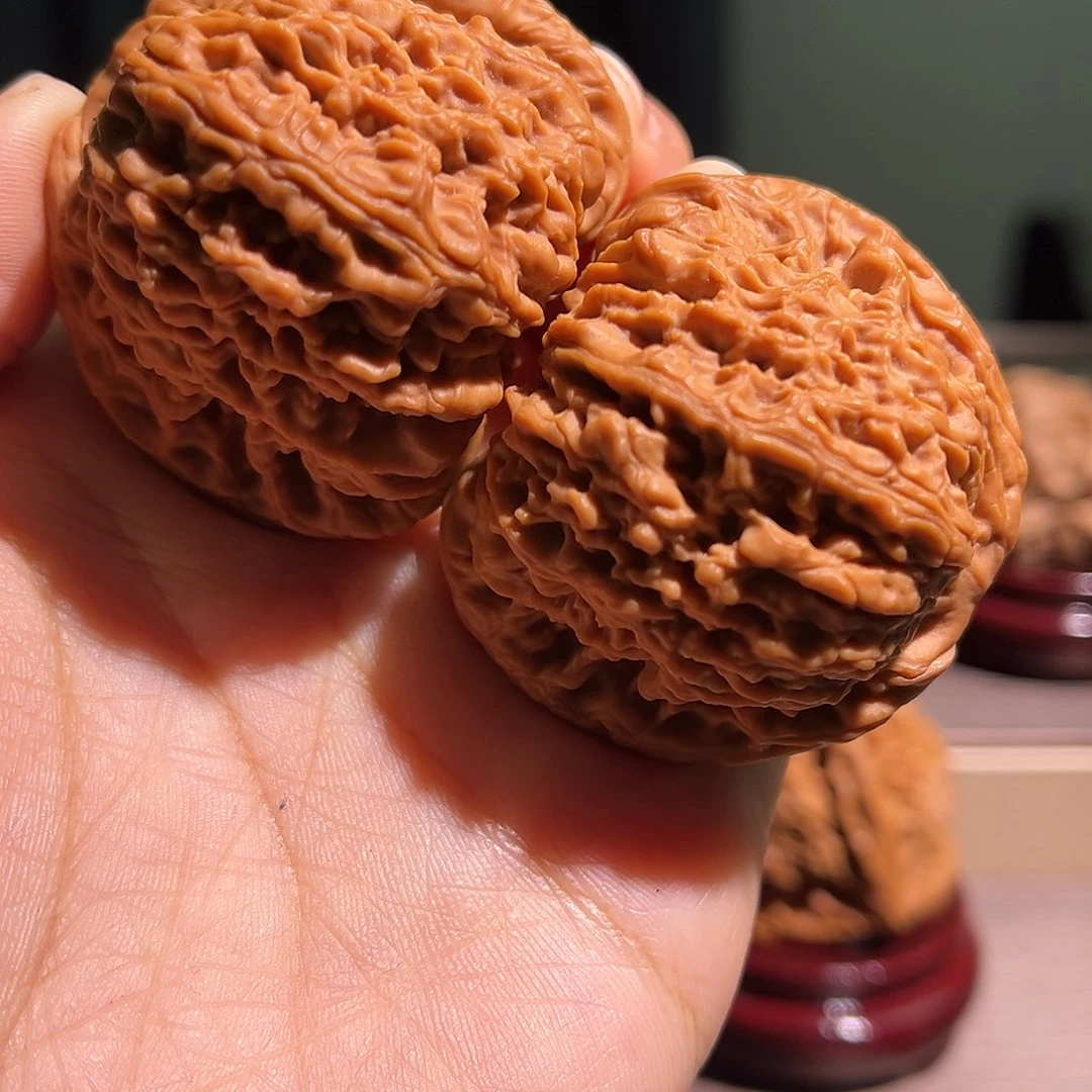 核桃南疆45尺寸全品