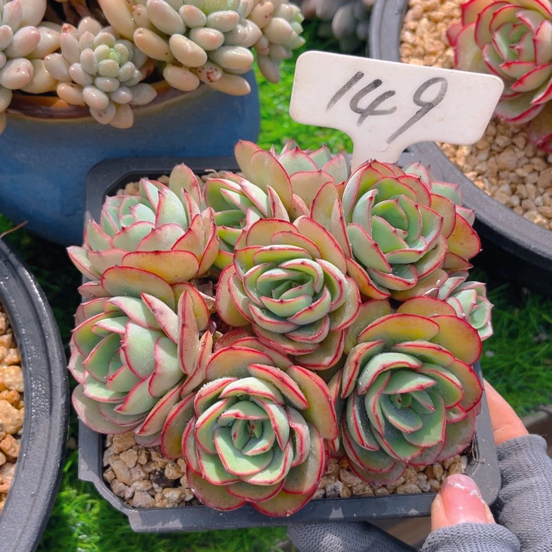 浮**149fghhjjjjjjjjj