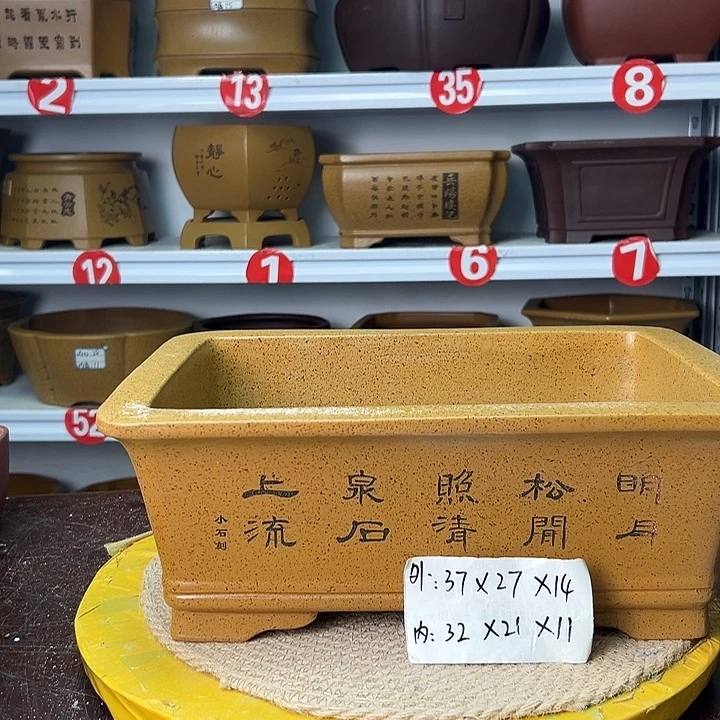花盆紫砂你在一起