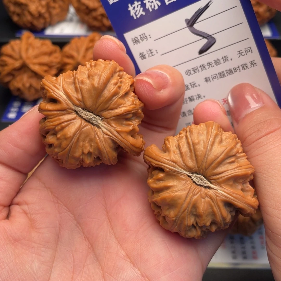 文玩核桃把件全品白狮子43尺