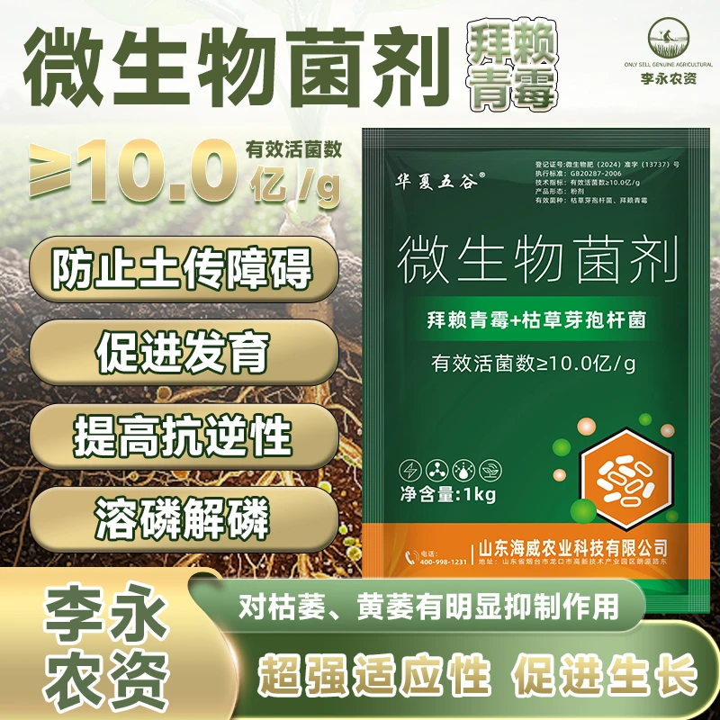 拜赖青霉适用土传障碍促进生长发育提高抗逆性