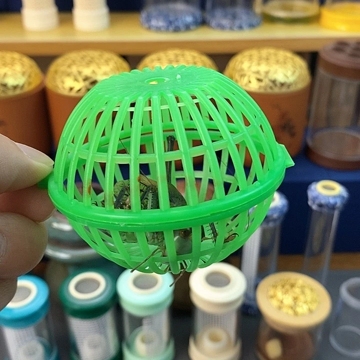 新脱铁皮蝈蝈两只