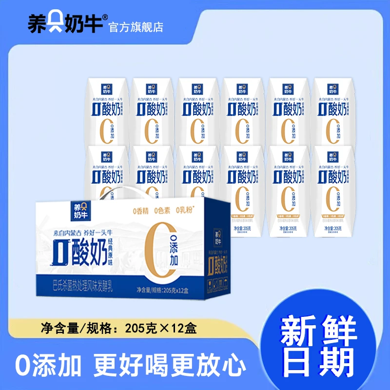 养只奶牛新日期0酸奶礼盒款醇厚酸奶原味酸奶12盒整箱常备D