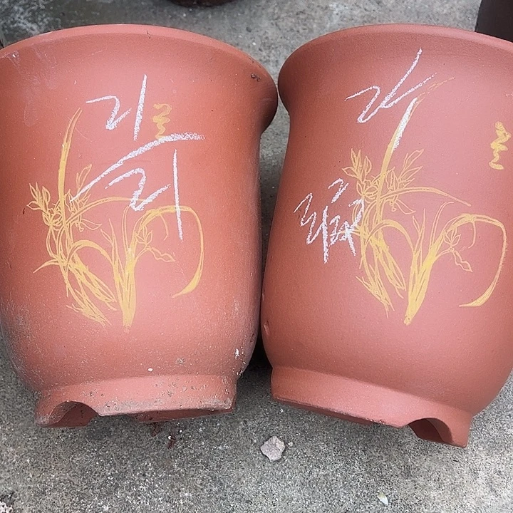 11号………………………………………………