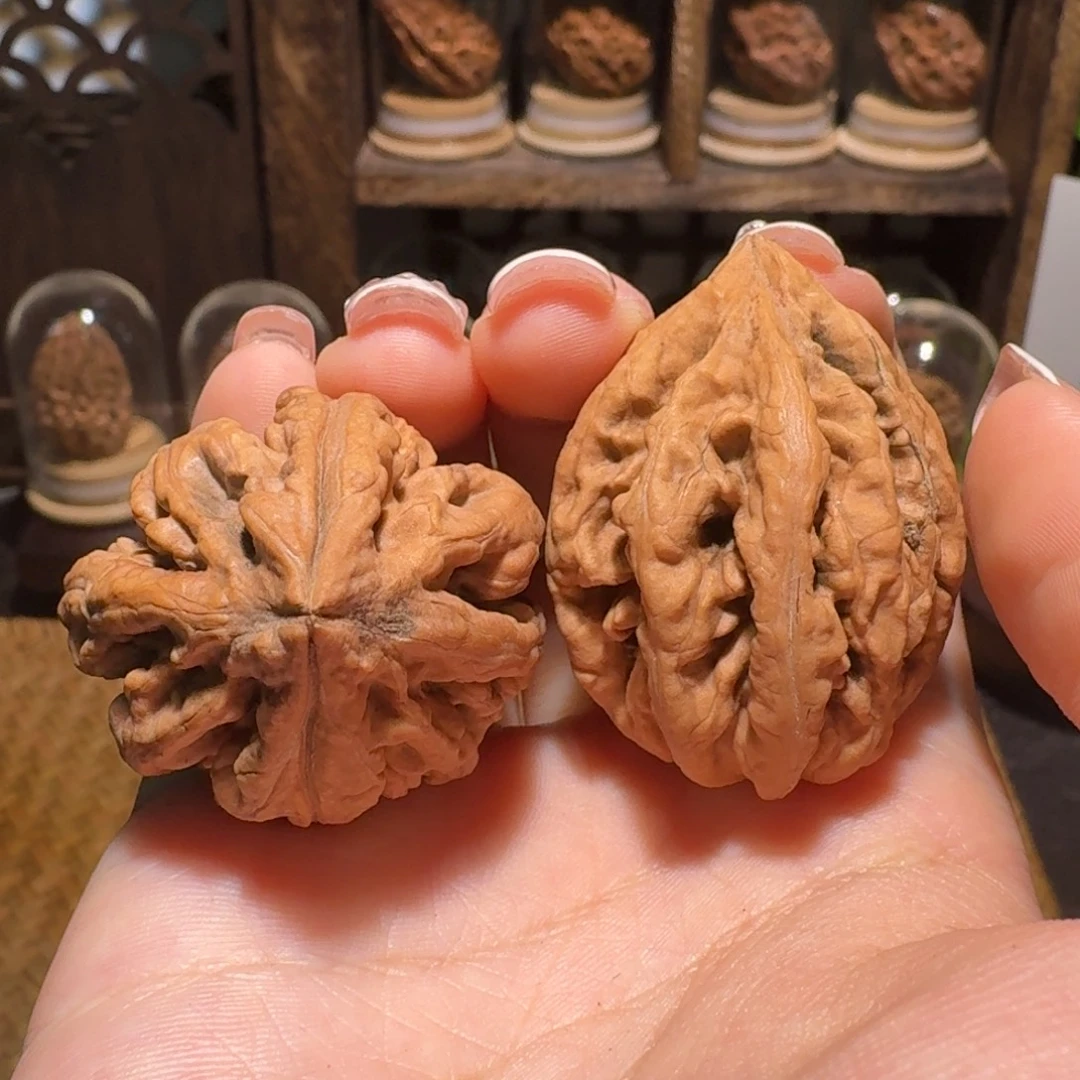 文玩核桃把件蝴蝶豆火