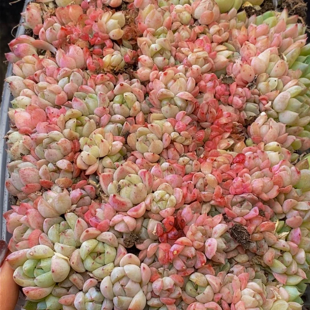 123多人在一起的时候我就