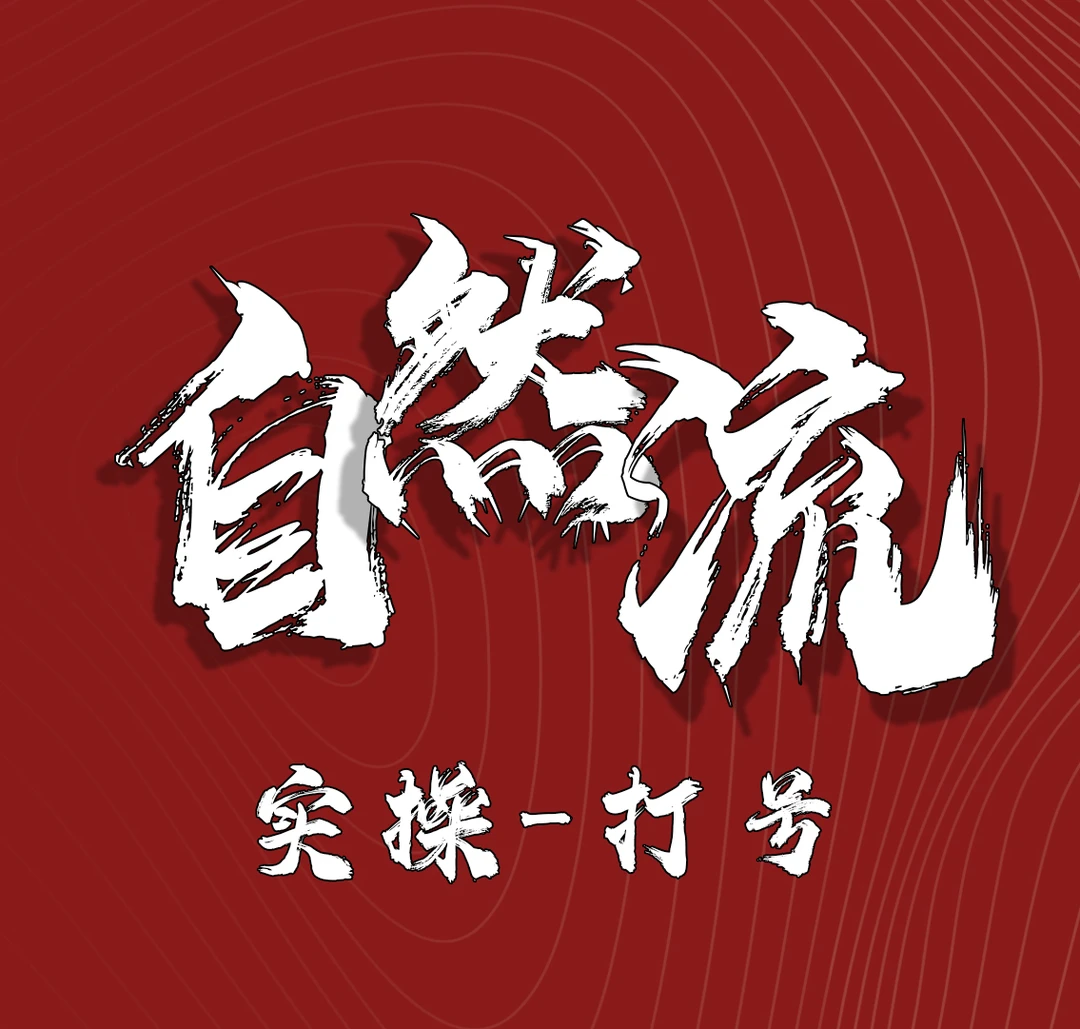自然流进阶微付费控单起号稳号放量全方位线上课IT知识服务