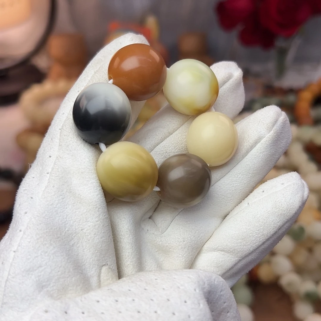 菩提根/象牙果吊坠20干磨293