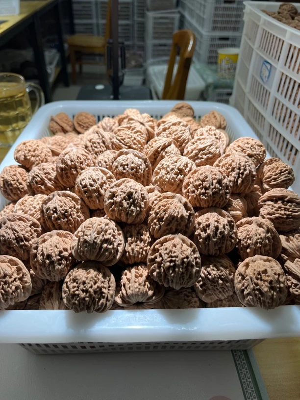 文玩核桃正杨楼通货链接随机发货一对