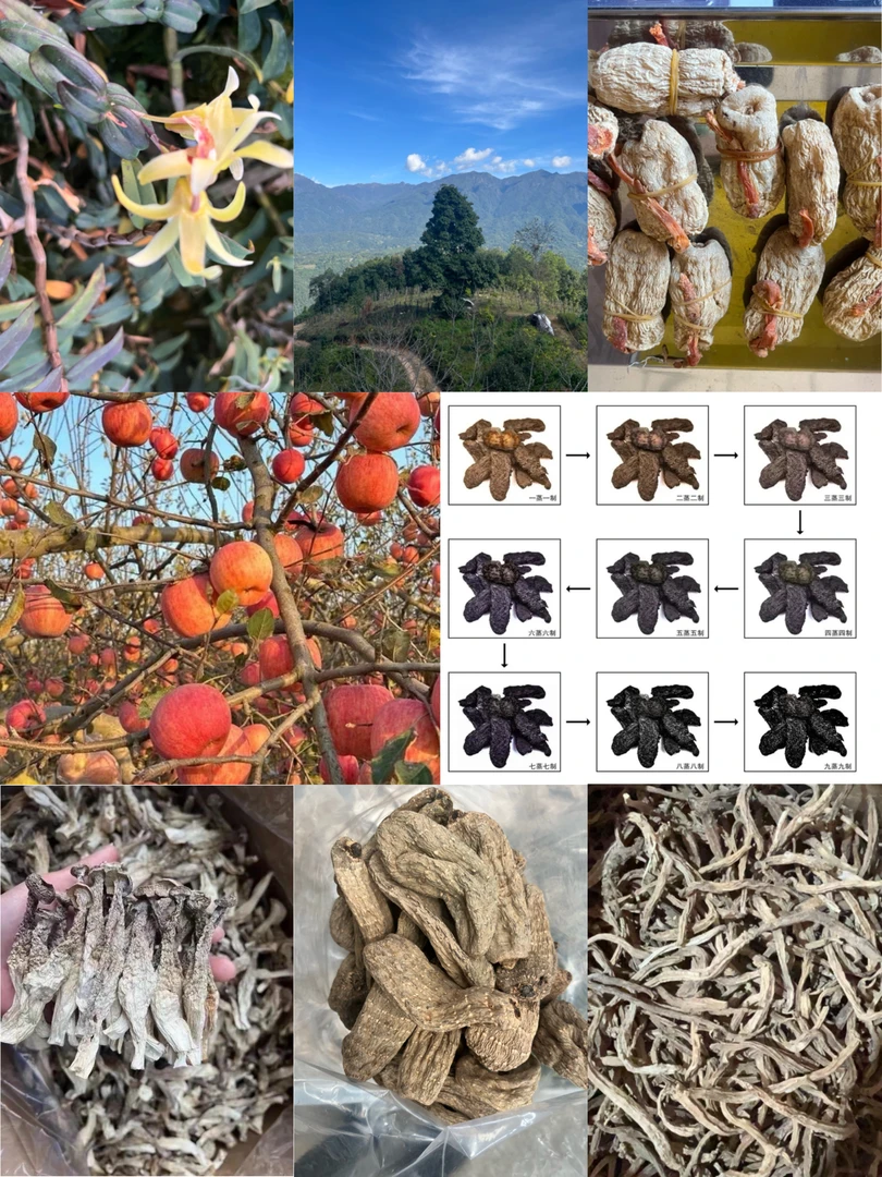 云南边精山货市场代购链接非香菇类