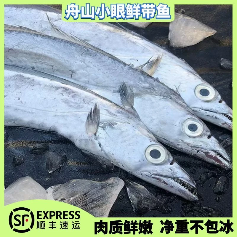 【洪姐专享】舟山小眼睛油带鱼 8两-1斤/条 舟山发货 速冻锁鲜