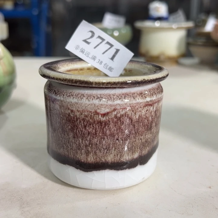 口5高6 活动价满30包邮