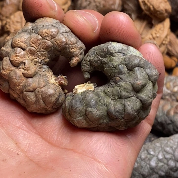 吊坠桃核有遐思77