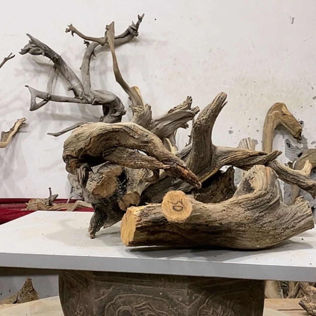 【闪购商品】柏木木****店我们都是好孩子