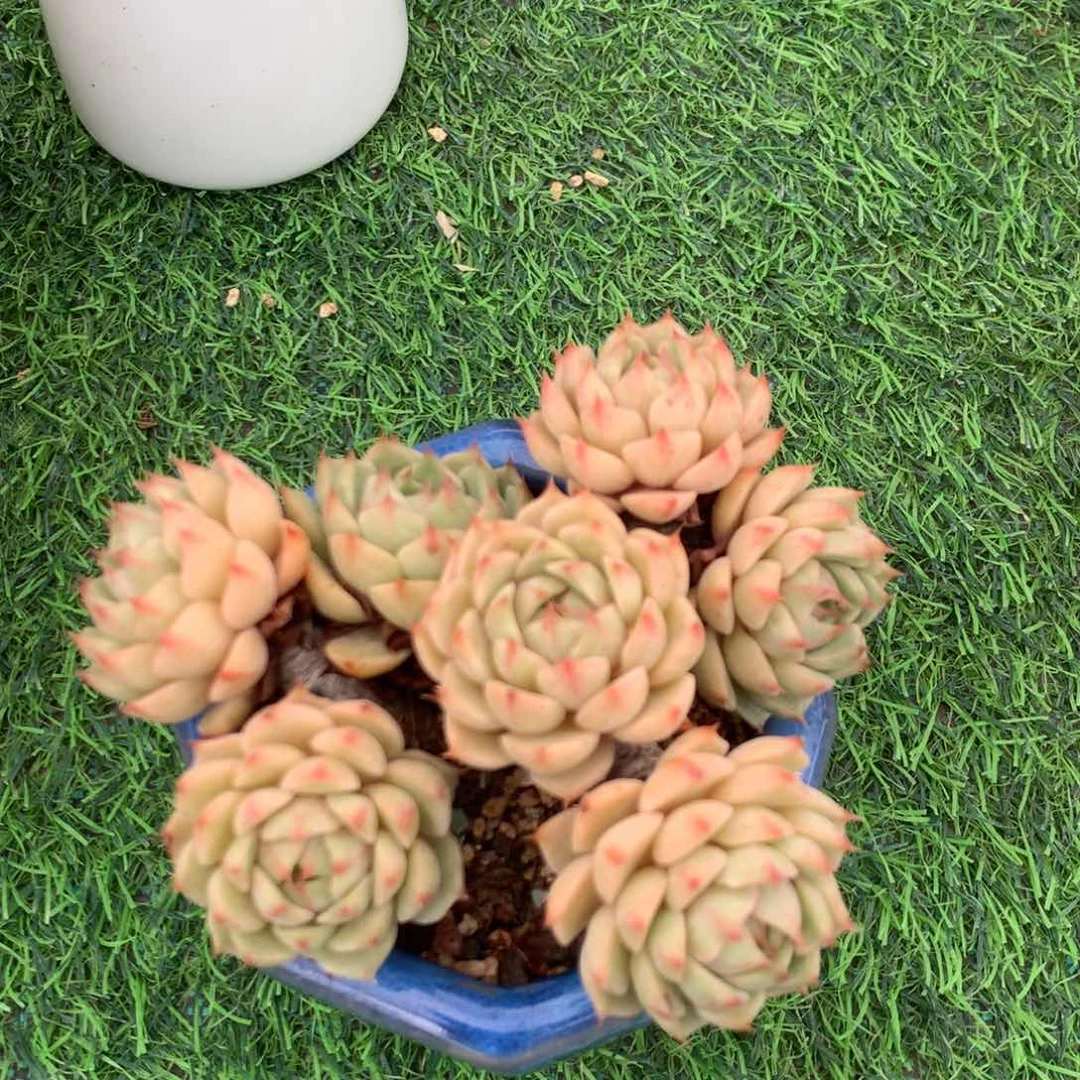 中通包裹了放前台处值班室保安